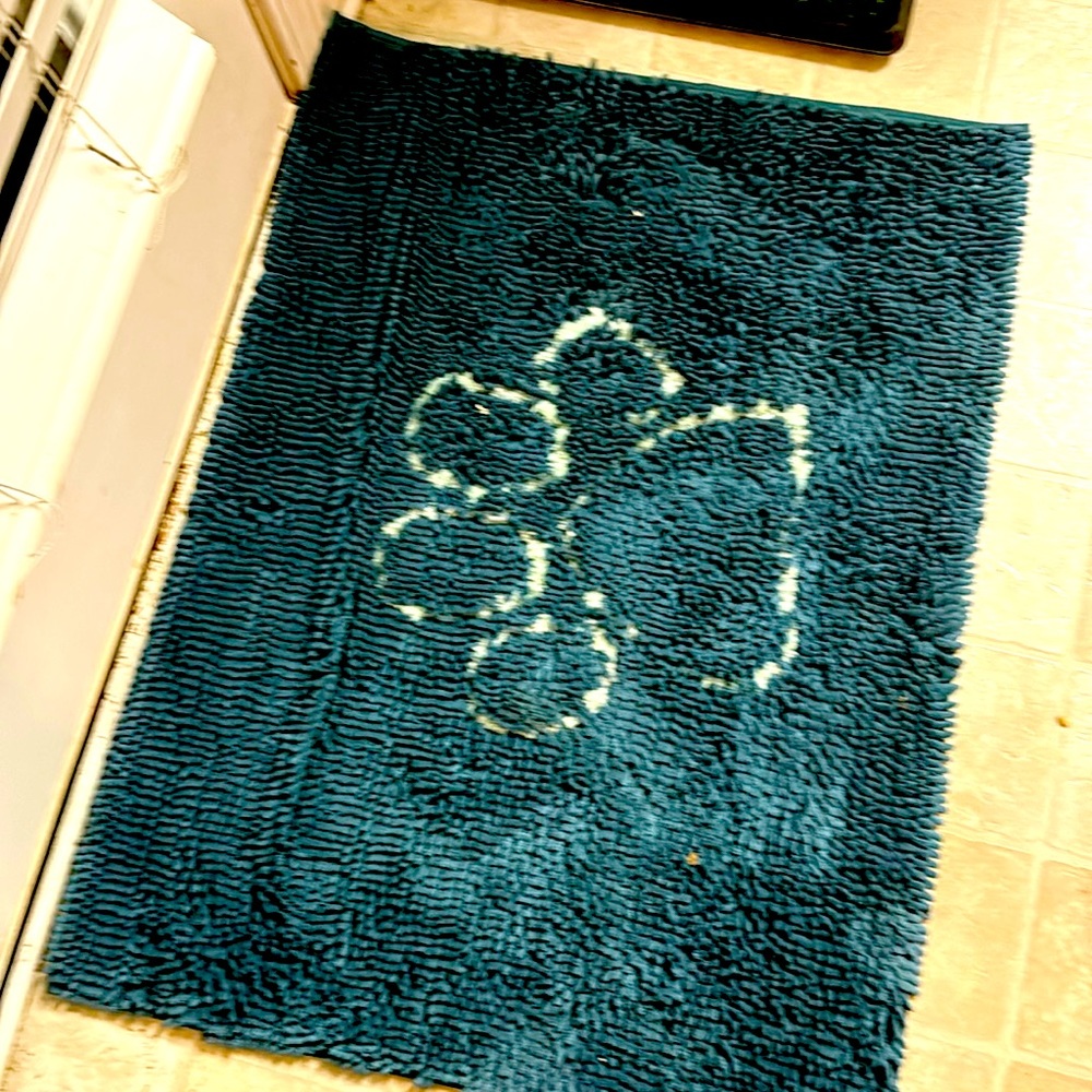 Absorbent Mud Rug for dog entrance to crate/outside/doggy door area.